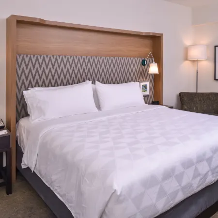 Holiday Inn DETROIT NORTHWEST - LIVONIA by IHG