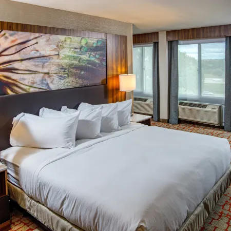 DoubleTree by Hilton Appleton