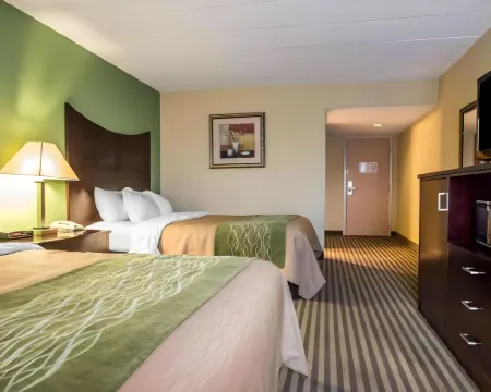 米爾霍爾-拉馬爾凱藝酒店 克林頓縣酒店