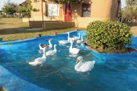 Arise Rustic Village Resort