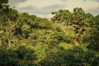 Toucan Lodge Amazon Rainforest Retreat - 2星級