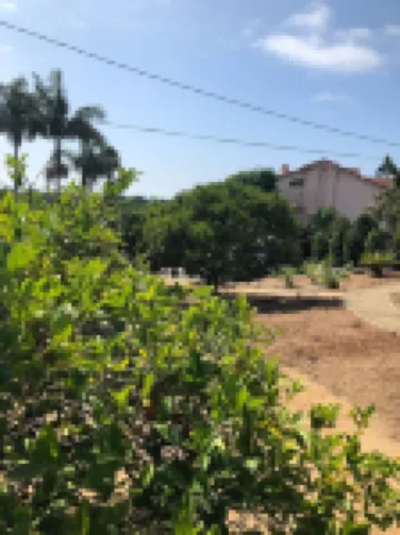 Private, vintage 2bd/2ba, 1/3 acre lot, ocean views, amazing sunsets!