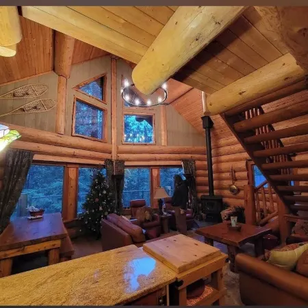 Creek side log cabin in the woods -dog friendly