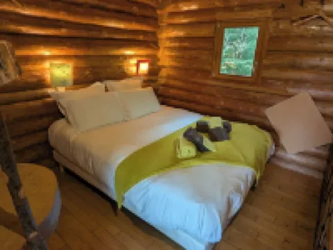 Unusual, secluded log cabin in the Vosges with luxury spa Hôtels à : Tendon