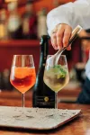 Villa Sofia Hotel - bar