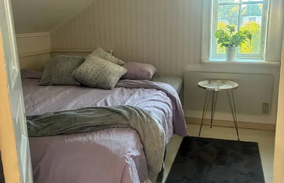 安妮的燈光古董之家