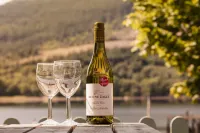 Arrochar Hotel 'a Bespoke Hotel' - bar