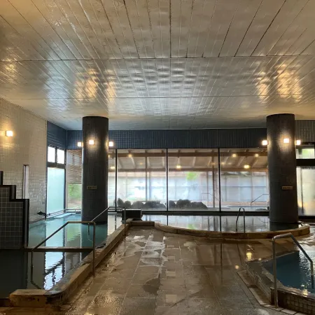 Yunokawa Kanko Hotel Shoen