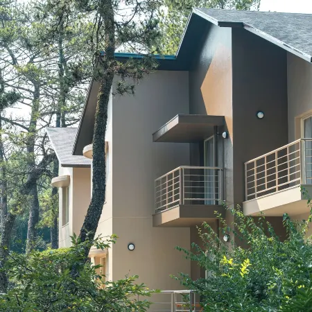 Seagaia Forest Cottage(Old:Cottage HIMUKA)