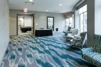 HIlton Garden Inn Detroit/Novi - 3-Star