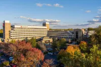 Marriott Lexington Griffin Gate Golf Resort & Spa - Pet friendly