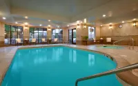 Hilton Garden Inn Bozeman - Pool