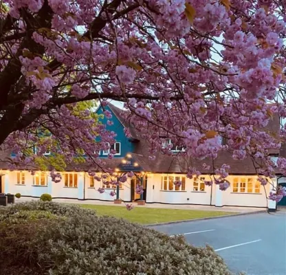 Hockley House - Wifi