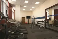 Hampton Inn & Suites Bradenton Downtown Historic District - Fitnessstudio