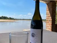 Mikango safaris Hotels near South Luangwa National Park