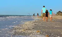 Sanibel Inn - con vistas al mar
