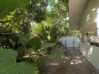 Private Jungle Retreat w Lagoon, Walk to Beach - Homestays