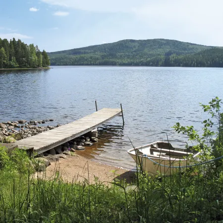 Borrsjön