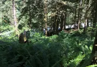74sl - Pets Ok - Wifi - BBQ - Sleeps 8