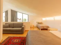 Baila (Cco511)