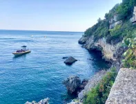 Villa of Cedars Spirit, Garden & Pool Hotels in Sao Simao