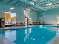 Best Western Plus Gatineau-Ottawa Downtown Hotels near Chinatown