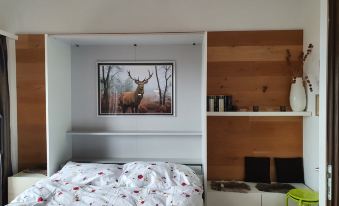 Elfe - Apartments: Studio Apartment for 2-4 Guests with Amazing View