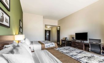 Sleep Inn & Suites Mount Olive North