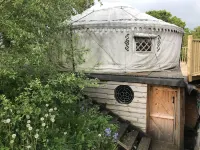 Hapus Yurt - Two Beautiful Yurts and Barn Cottage Hotels in Llansannan