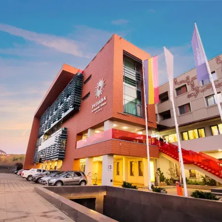Pleiada Boutique Hotel & Spa Отели в г. Яссы