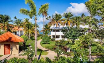 a lush tropical landscape with palm trees , lush greenery , and a white house surrounded by water at Hyatt Regency Grand Reserve Puerto Rico