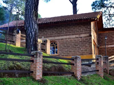 Bosque la Luna