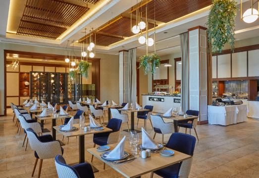 1. 시크릿 란자로테..