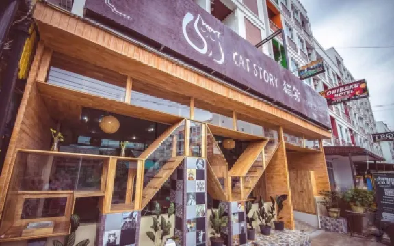 貓的故事飯店 芭東碼頭（Patong Pier）附近的飯店