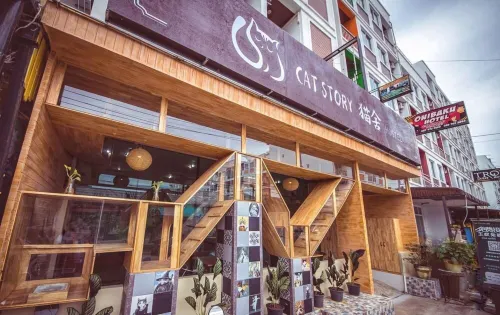 貓的故事酒店