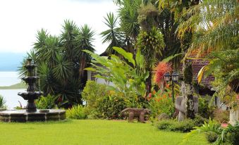 a lush green garden with a variety of plants and trees , creating a serene and inviting atmosphere at Hotel la Mansion Inn Arenal