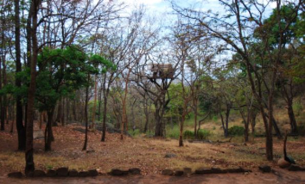 K Gudi Wilderness Camp-Jungle Lodges