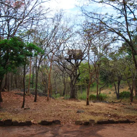 K Gudi Wilderness Camp-Jungle Lodges Отели в г. Чамраджнагар