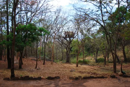 K Gudi Wilderness Camp-Jungle Lodges