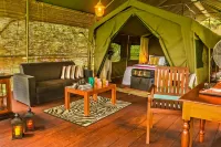 Mountain Top Glamping Tree House with a Star Bed
