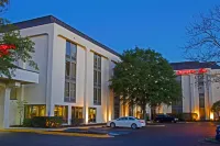 Hampton Inn Norfolk/Chesapeake (Greenbrier Area) - Pet-friendly