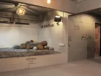 The Room @ Zishi Hostel - Hostels