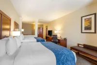 Comfort Suites Near Denver Downtown