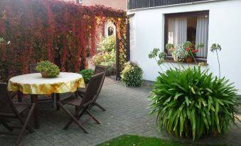 Holiday Flat in Gross Kordshagen with Garden