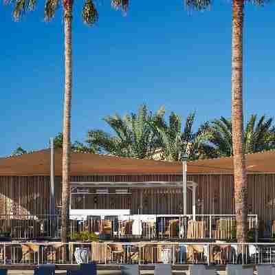 King Jason Paphos - Designed for Adults by Louis Hotels Hotel Exterior