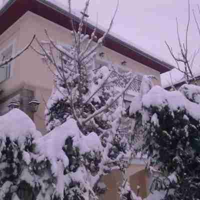 Archontiko Stamou Hotel Exterior