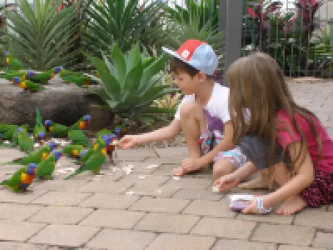 Island Leisure Resort Hotels in Nelly Bay