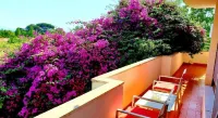 B&B Il Giardino di Villa Anna Hotels in Torre Annunziata