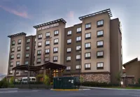 Best Western Premier Monterrey Aeropuerto Hotels near Dani Papi Chulo House
