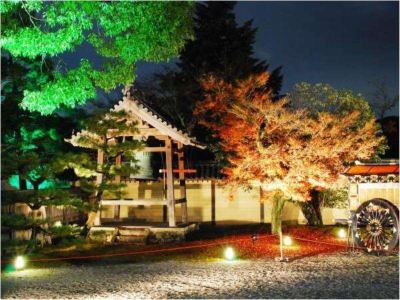 庭 サンメンバーズ京都嵯峨の写真